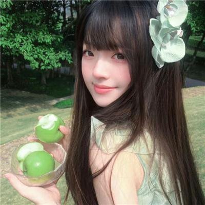 菊石